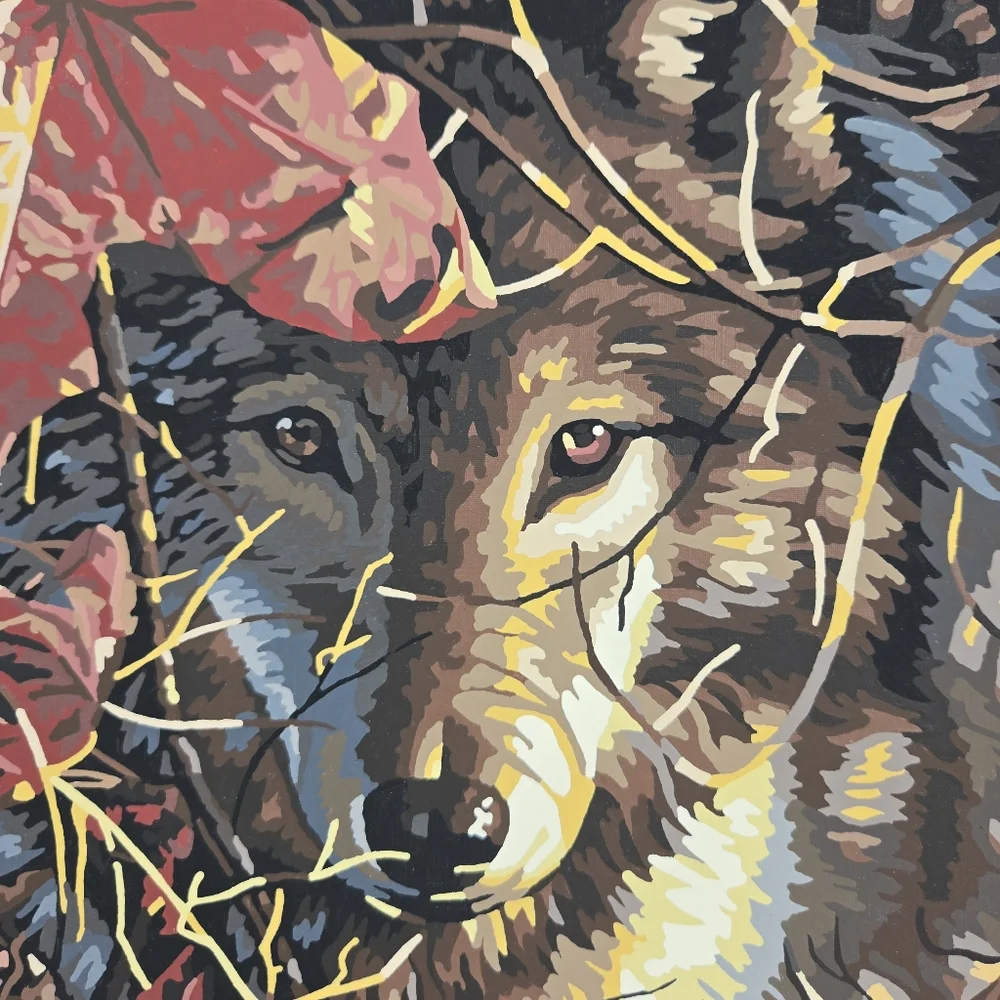 Autumn Wolf Finished Acrylic Painting Paint‎ By Number 14x11 Mystical Whimsical